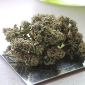 Gorilla Glue