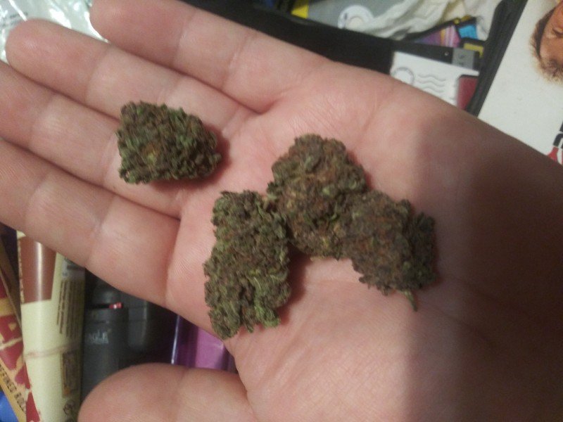 Black Widow Cannabis Black Widow Cannabis