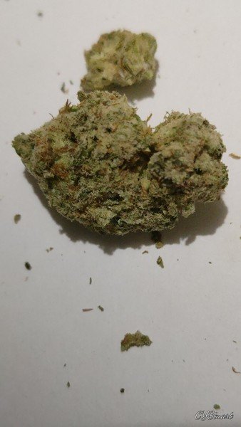 Bob Marley Cannabis Bob Marley Cannabis