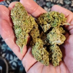 Hawaiian Snow cannabis