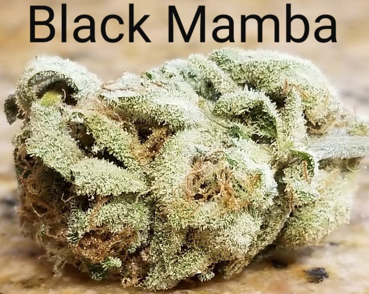 Buy Black Mamba Buy Black Mamba