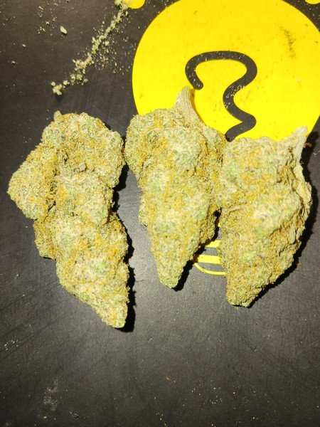 Black Widow Cannabis Black Widow Cannabis