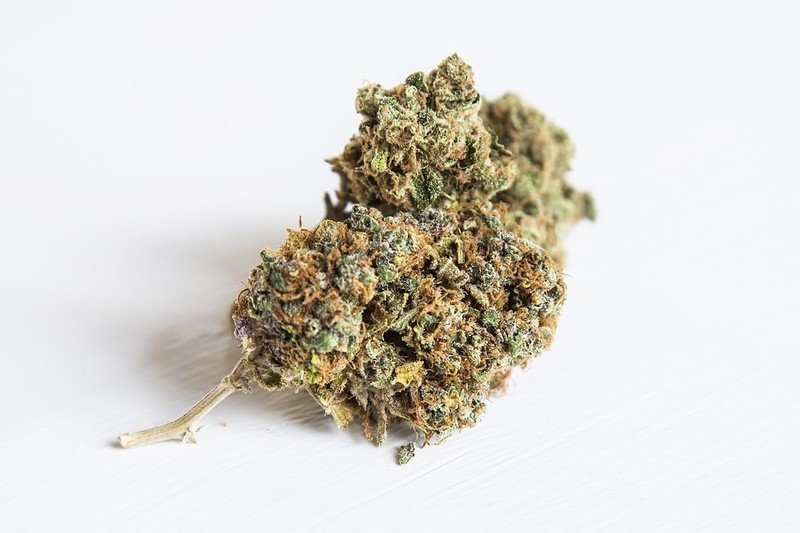 hindu kush hindu kush