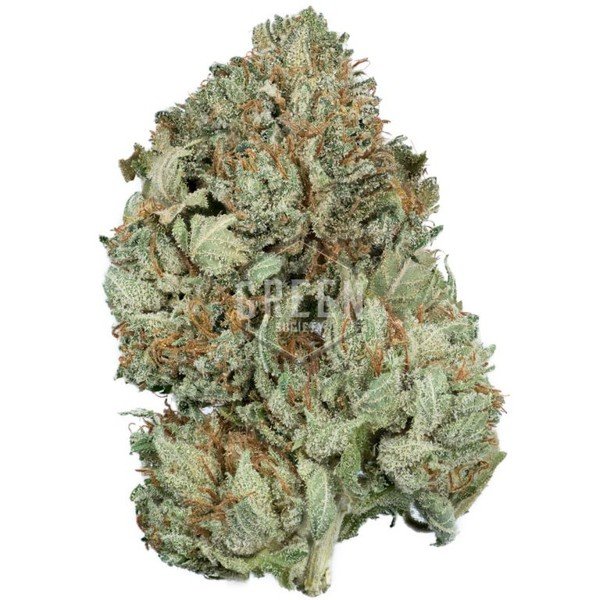 hindu kush0 hindu kush0