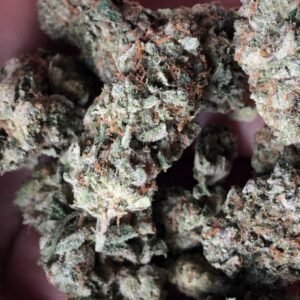 hindu kush