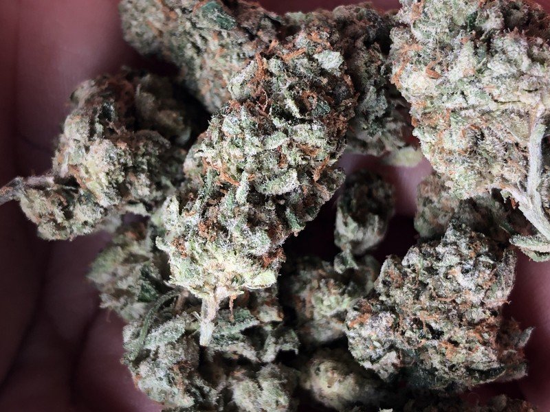 hindu kush hindu kush