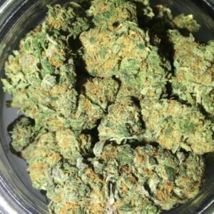 Blueberry Kush Cannabis