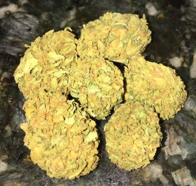 Chocolate OG Cannabis Chocolate OG Cannabis