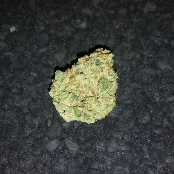 Chocolate OG Cannabis Chocolate OG Cannabis