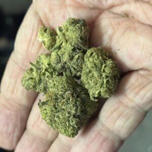 Buy Critical Mass columbian gold