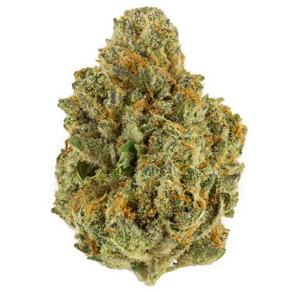 critical mass buds critical mass buds