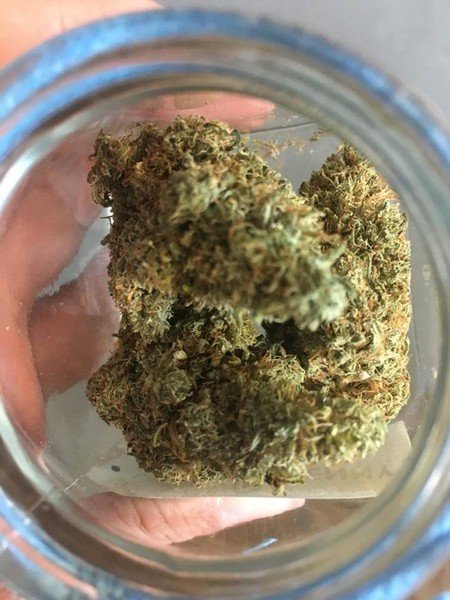 critical mass cbd haydanw critical mass cbd haydanw