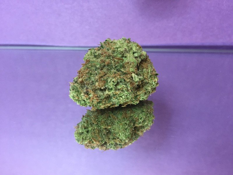 critical mass ezbmgpi critical mass ezbmgpi