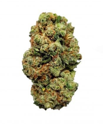 Buy Critical Mass Buy Critical Mass