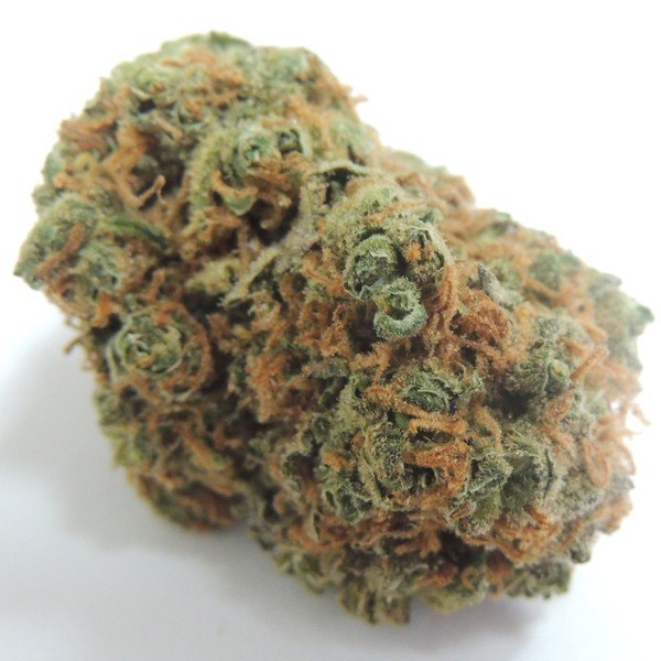 Bob Marley Cannabis Bob Marley Cannabis