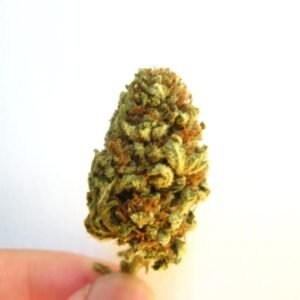 Buy Critical Mass Pineapple Thai Cannabis