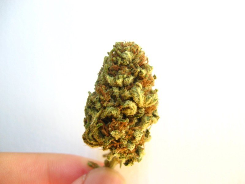 Pineapple Thai Cannabis Pineapple Thai Cannabis