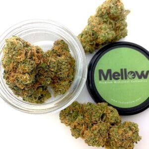 Buy Critical Mass Northern Lights Cannabis