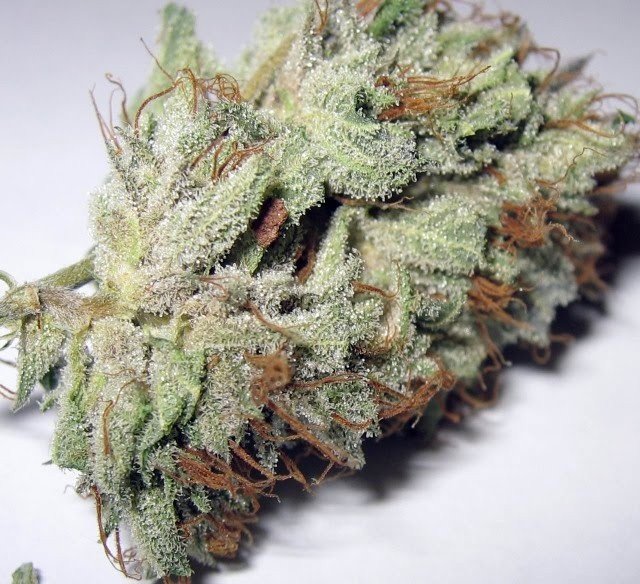 hindu kush hindu kush