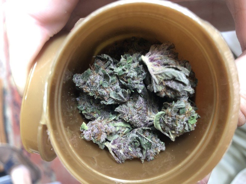 Bob Marley Cannabis Bob Marley Cannabis