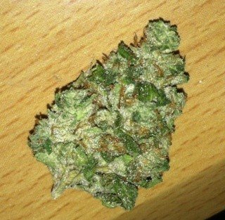 Pine OG Cannabis Pine OG Cannabis