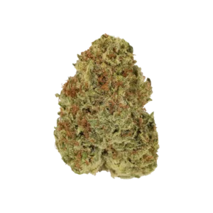 luana og watermelon.webp
