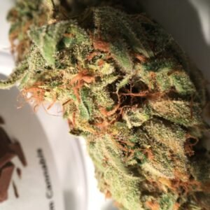 orange chocolate