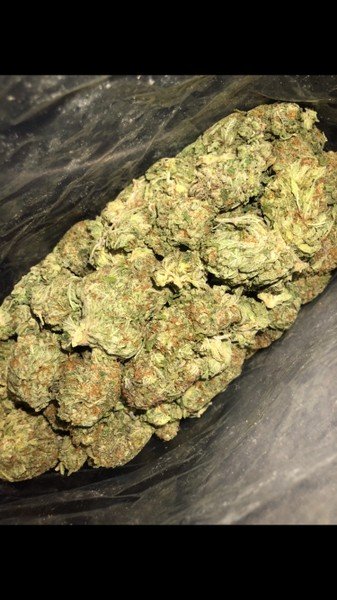 pink og mie5va1 pink og mie5va1