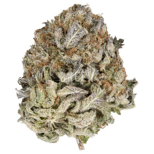 purple kush akza8m3 purple kush akza8m3